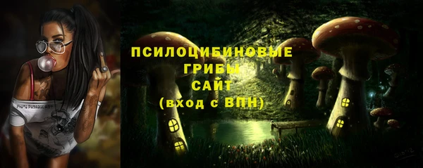 молекула духа Алексеевка