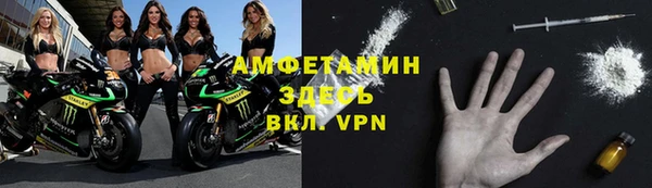 молекула духа Алексеевка