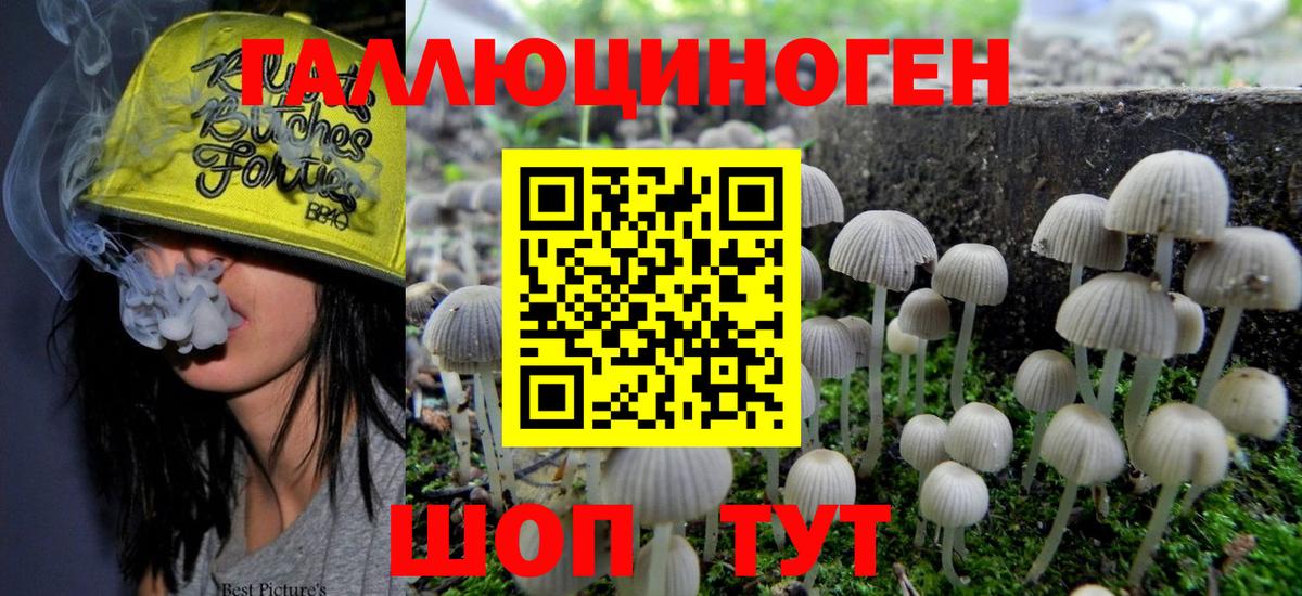 Псилоцибиновые грибы MAGIC MUSHROOMS  Вход с VPN  где купить наркотик  Ишим 