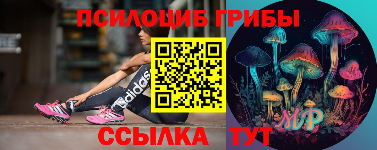Галлюциногенные грибы MAGIC MUSHROOMS Ишим